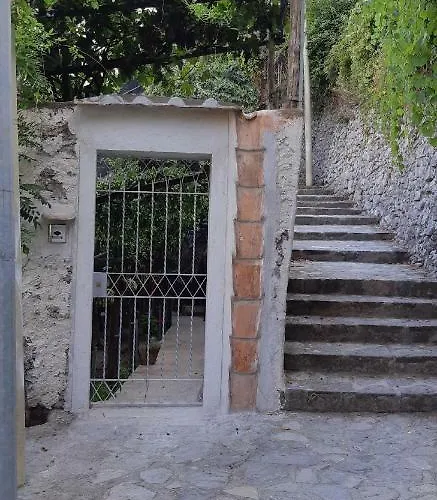 #la Limonaia Della Torretta Minori