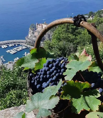 #la Limonaia Della Torretta Minori