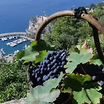 #la Limonaia Della Torretta Minori