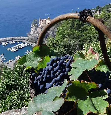 #la Limonaia Della Torretta Minori