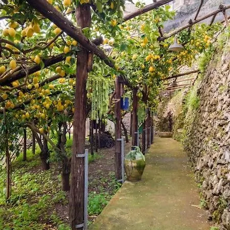 #la Limonaia Della Torretta Tatil Evi Minori