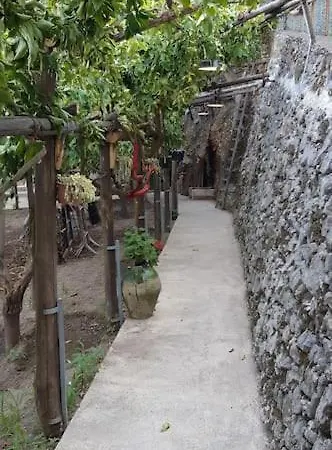 Tatil Evi #la Limonaia Della Torretta Minori